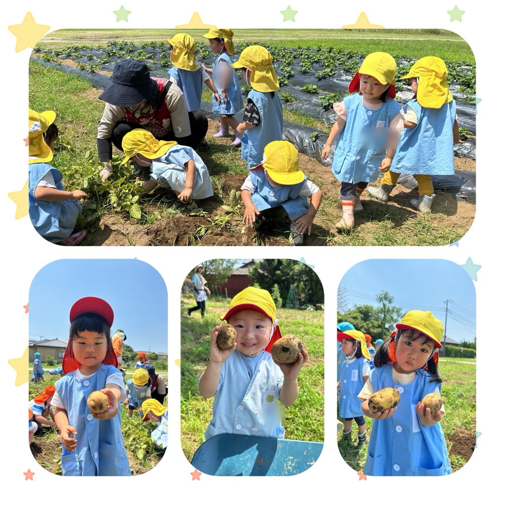 🐣食育「じゃがいも🥔」