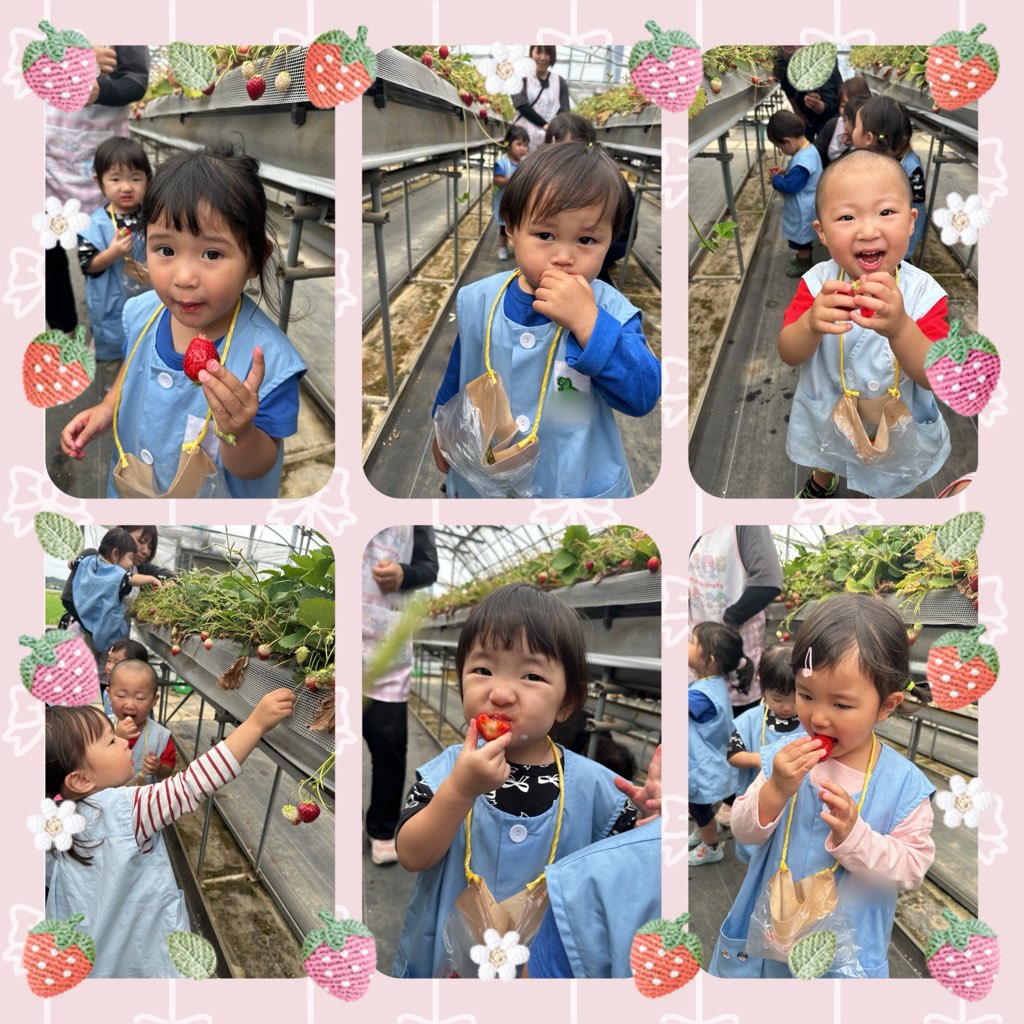 🐣まっかないちご🍓
