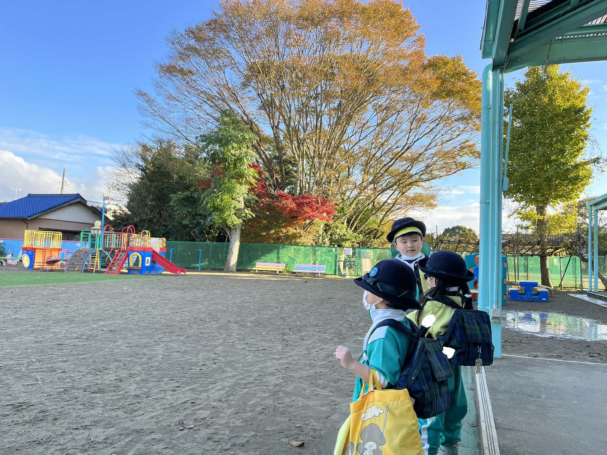 秋ですね🍁