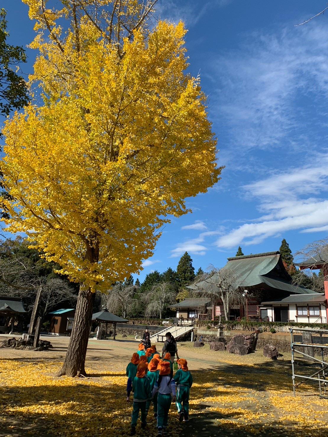 七五三のお参り🍁