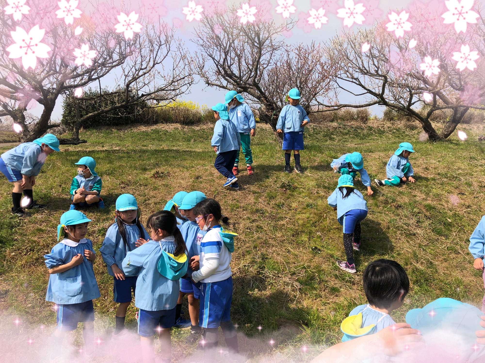 🌸梅見遠足🌸