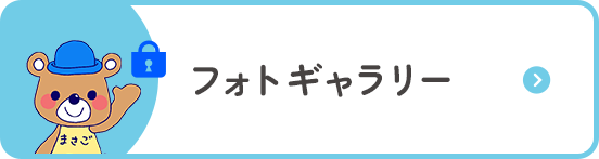 フォトギャラリー